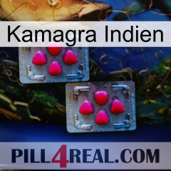 Kamagra India 14